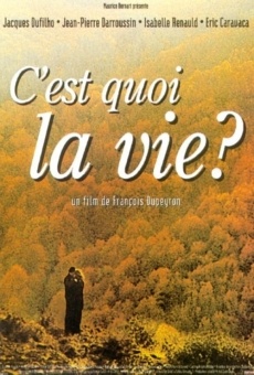 Watch C'est quoi la vie? online stream