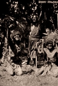Voodoo Vengeance online streaming