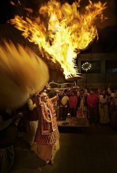 Ver película Vrindavana