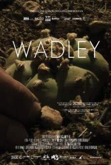 Watch Wadley online stream