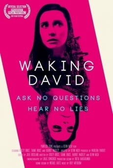 Waking David en ligne gratuit