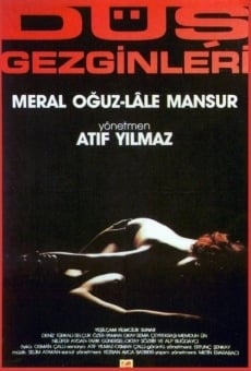 Dü? Gezginleri