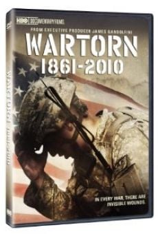 Wartorn: 1861-2010 online streaming