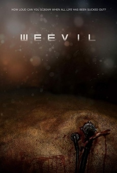 Weevil online