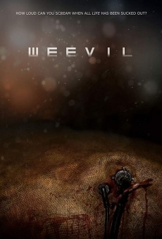 Weevil on-line gratuito