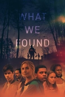 Ver película What We Found