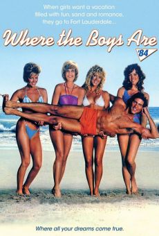 Where the Boys Are '84 en ligne gratuit