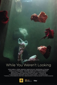 Ver película While You Weren't Looking