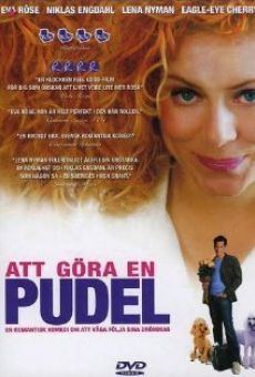 Att göra en pudel online streaming