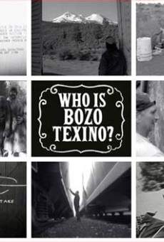 Watch Who is Bozo Texino? online stream