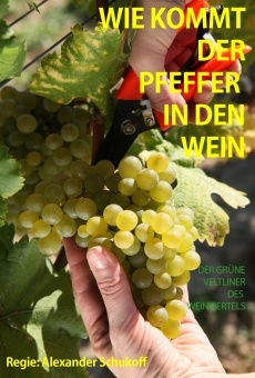 Wie kommt der Pfeffer in den Wein? online streaming