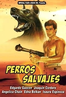 Ver película Wild Dogs