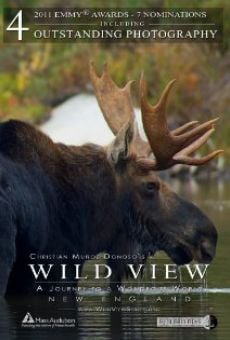 Watch Wild View: A Journey to a Wondrous World online stream