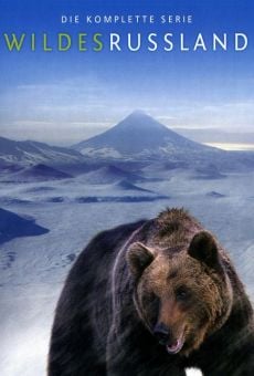 Wildes Russland online streaming