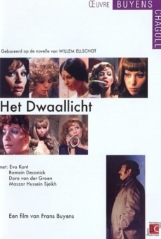 Dwaallicht streaming en ligne gratuit