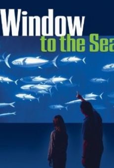 Ver película Window to the Sea