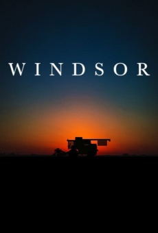 Ver película Windsor