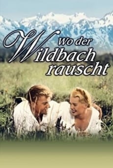 Wo der Wildbach rauscht online kostenlos