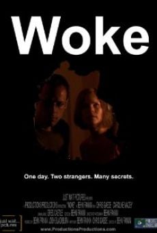 Watch Woke online stream