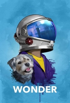 Wonder online streaming