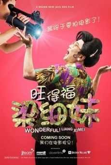 Ver película Wonderful! Liang Xi Mei