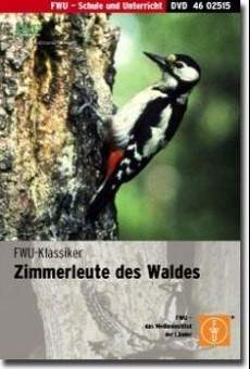 Zimmerleute des Waldes