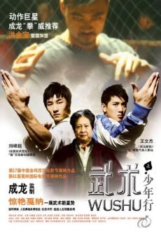 Ver película Wushu