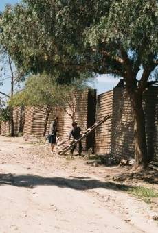 XV en Zaachila