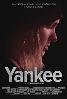 Yankee en ligne gratuit