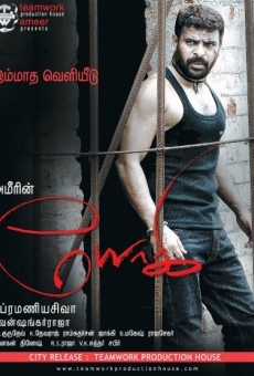 Yogi online streaming