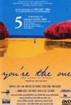 You're the One online streaming