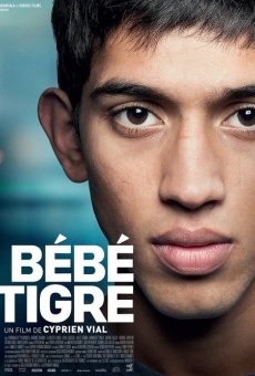 Bébé tigre gratis