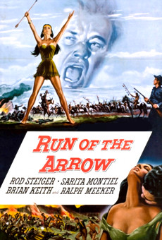 Run of the Arrow online kostenlos