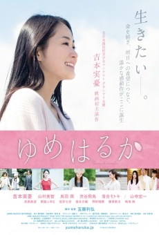 Yume haruka on-line gratuito