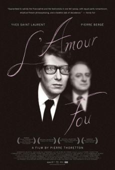 Yves Saint Laurent - Pierre Bergé, l'amour fou en ligne gratuit