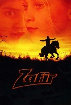 Zafir online free