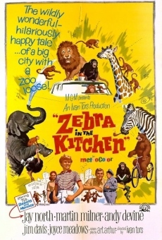 Ein Zebra in der Küche