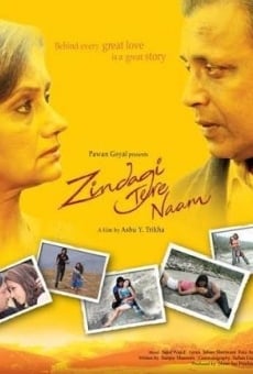 Ver película Zindagi Tere Naam