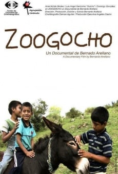 Zoogocho