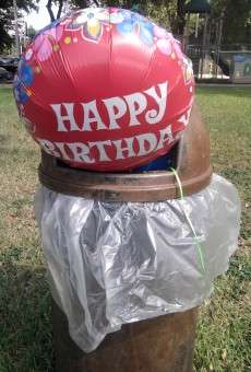 Con quién $@!# me casé? El desertor y la divorciada online gratis