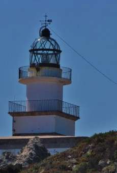 Investigadoras online gratis