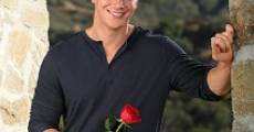 The Bachelor, todas las temporadas