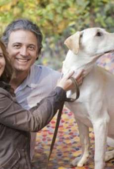 Mi perro ideal online gratis