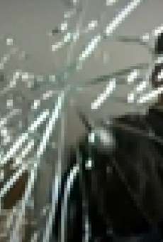 Tesoros abandonados online gratis