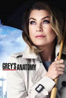 Grey´s Anatomy online gratis