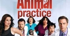 Serie Animal Practice