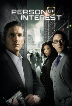 Person of Interest online gratis