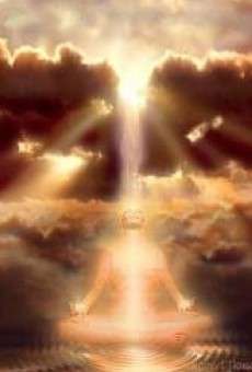 Cosecharás tu siembra online gratis