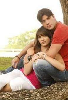 Libres como el viento online gratis