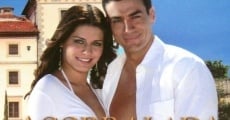 Novela Acorralada